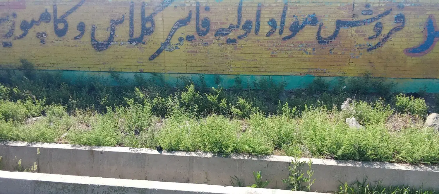 زمین صنعتی