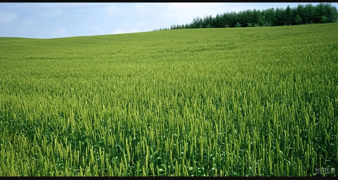 زمین،کشاورزی