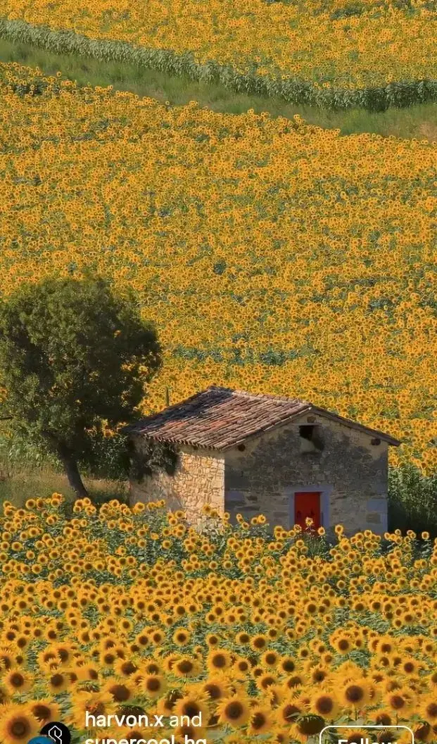 زمین کارکنان دولت