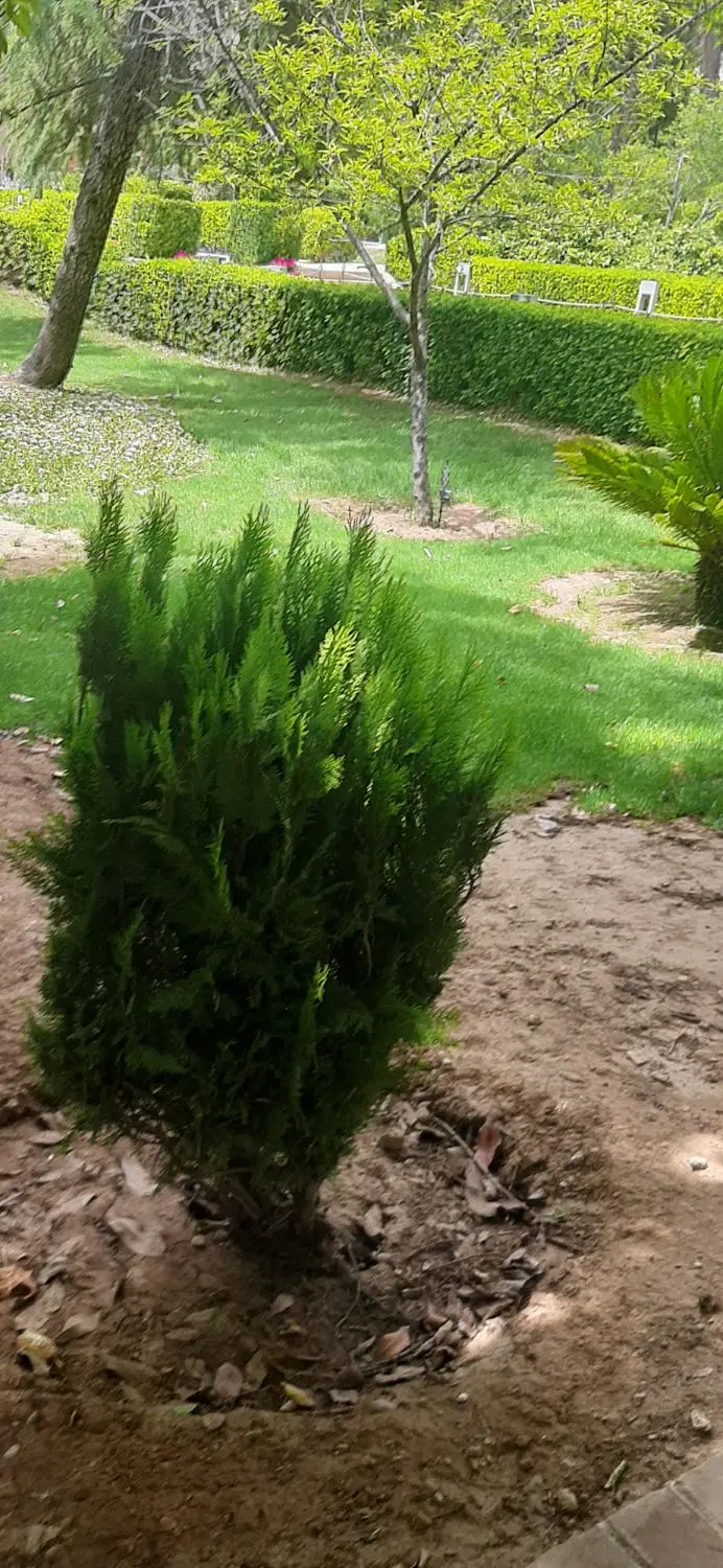 اجاره مسکونی ۲۰۰ متری مرکز شهر خیابان رجایی