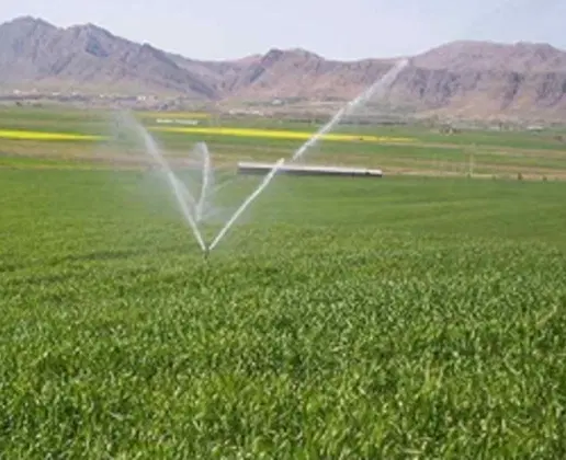 زمین کشاورزی آبی