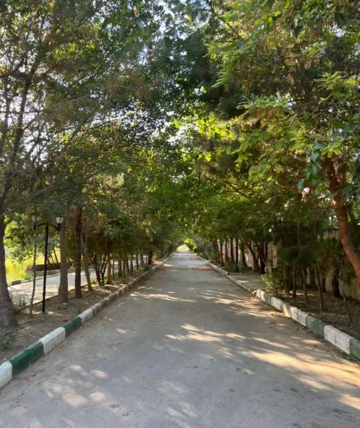 زمین ۱۶۰۰ متر چهچهه سند تک برگ (آب برق گاز)