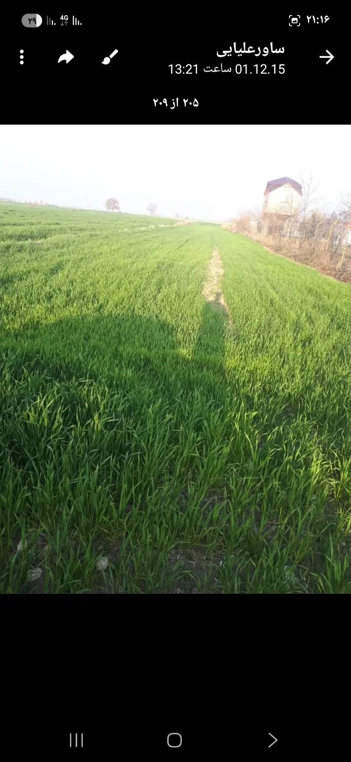 زمین باغی یاکشاورزی