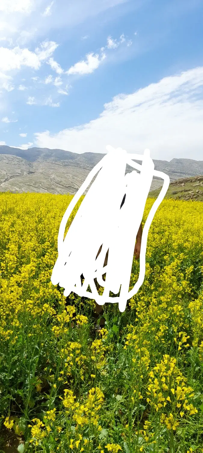 زمین کشاورزی بوگلان