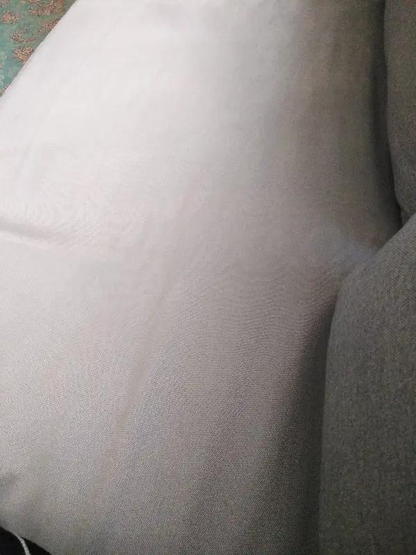 همخونه