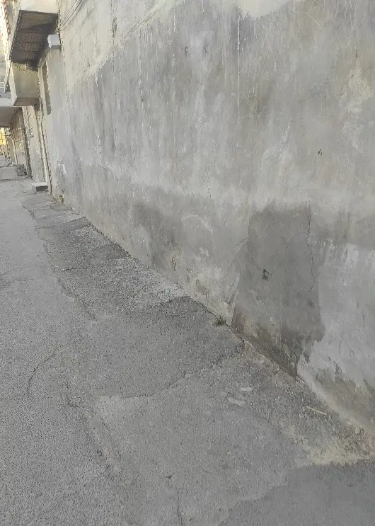 پیش فروش