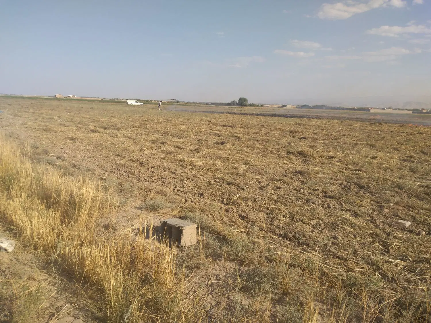 باغ زمین کشاوزی