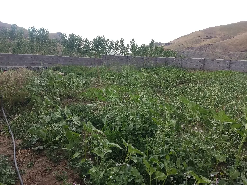 فروش یا معاوضه باغ با خانه
