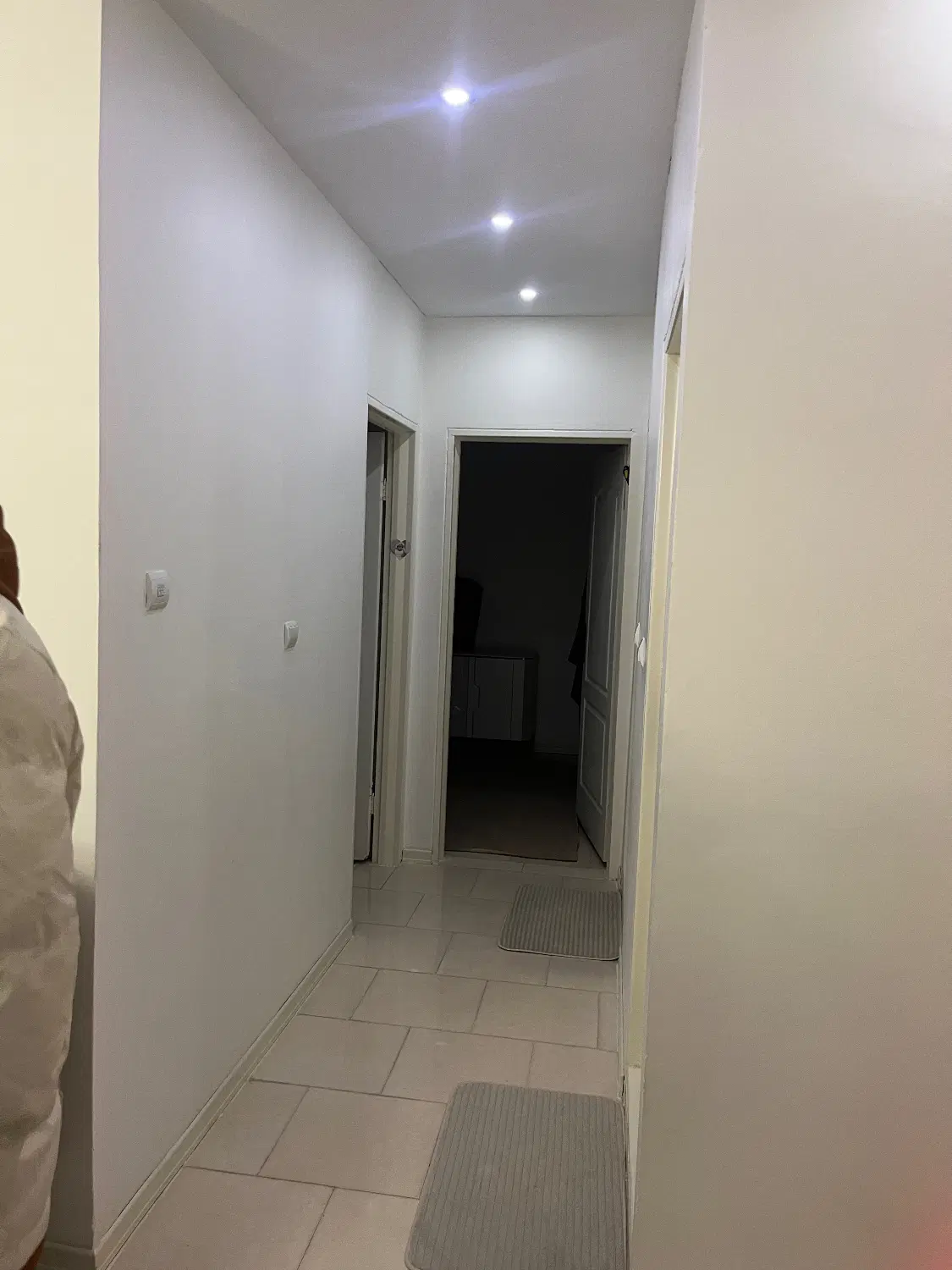 همخانه همخونه