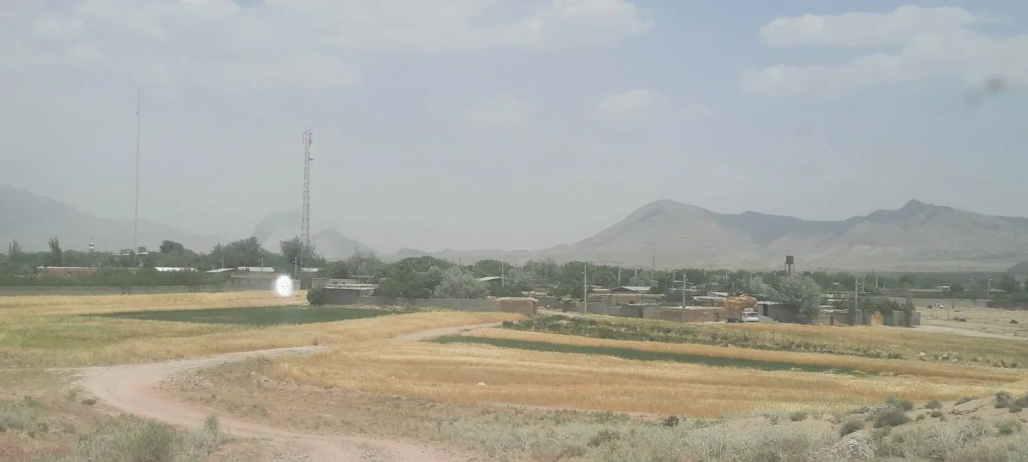 زمین تورگان