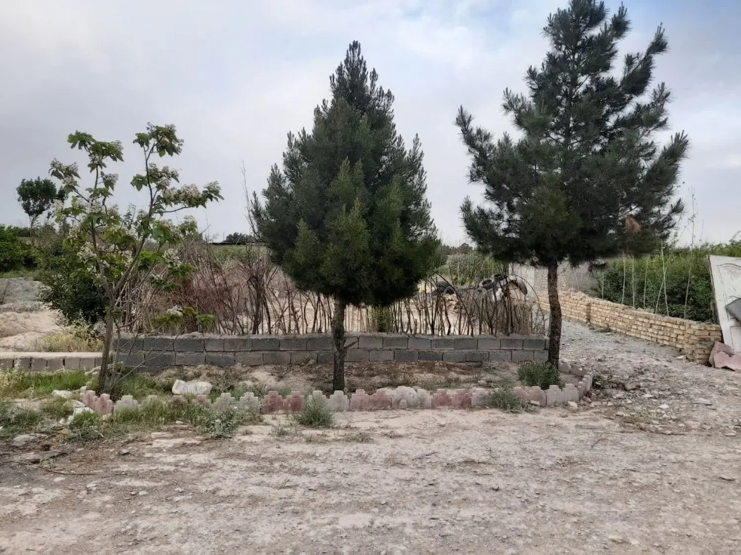 فروش زمین کشاورزی