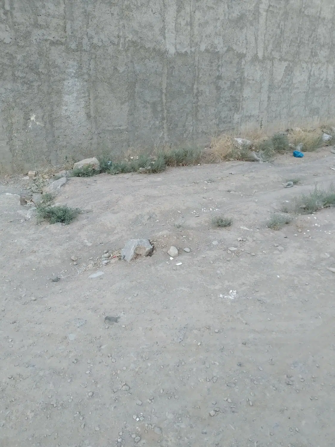 زمین مسکونی پشت سپاه