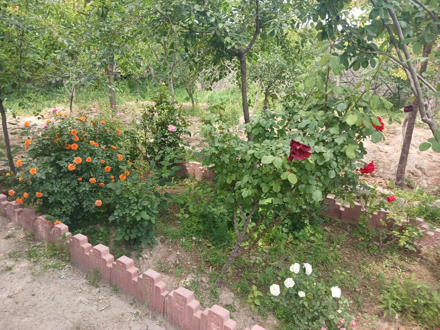 باغ ویلا