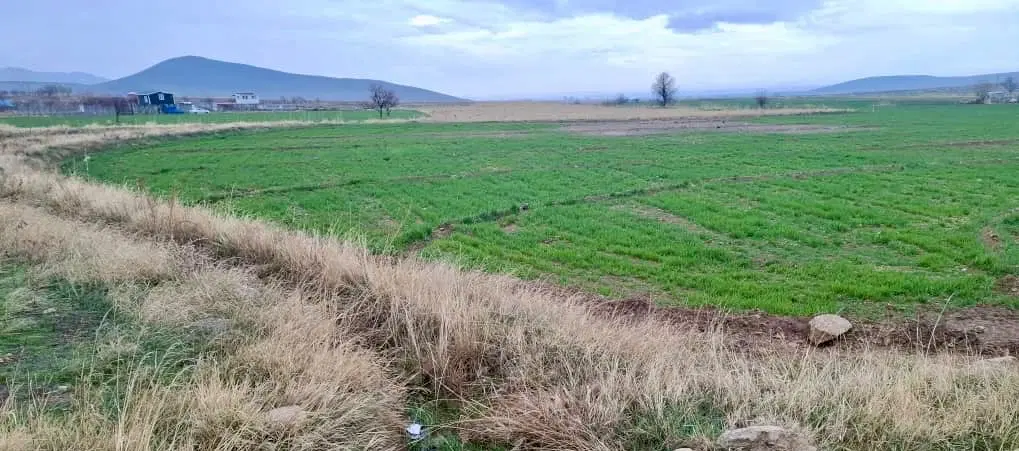 زمین زراعی باقی در روستا رند