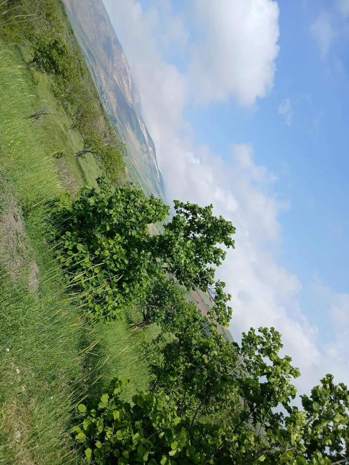 فروش زمین باغی مسکونی