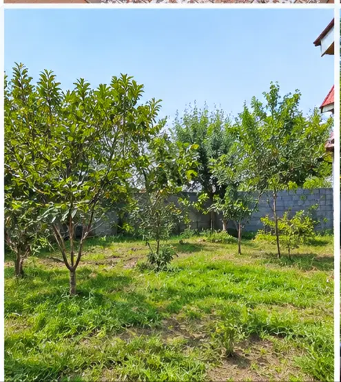 ویلایی خوش نقشه