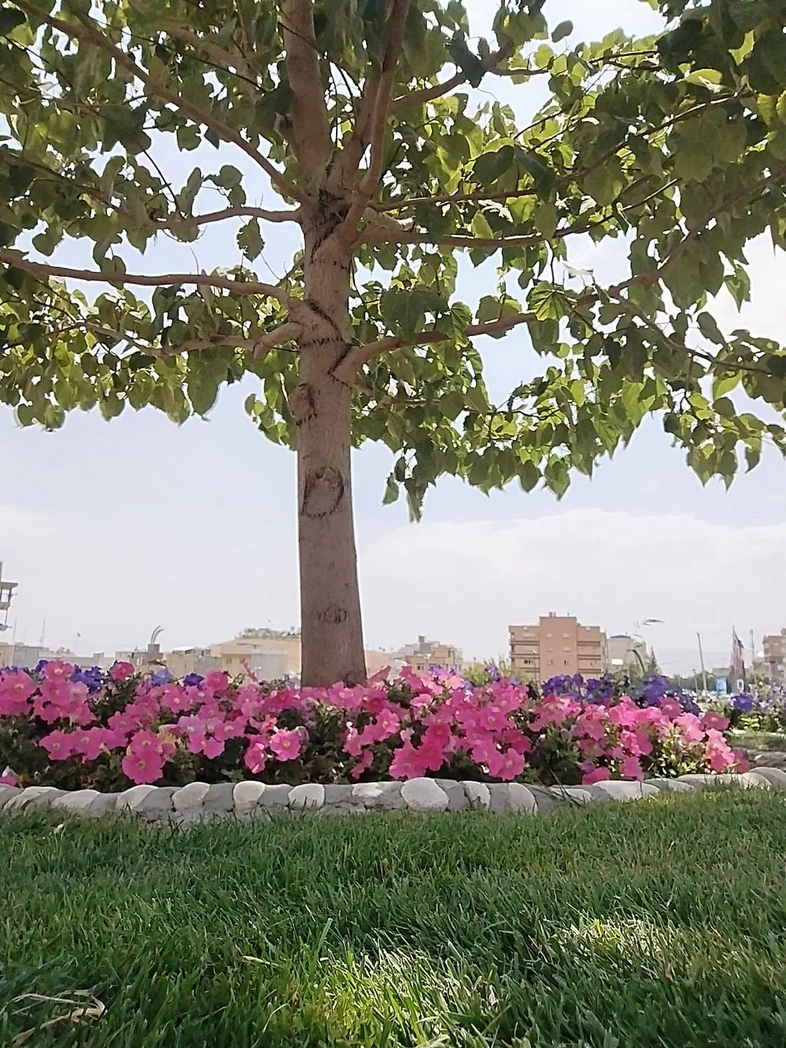 ویلایی یک طبقه