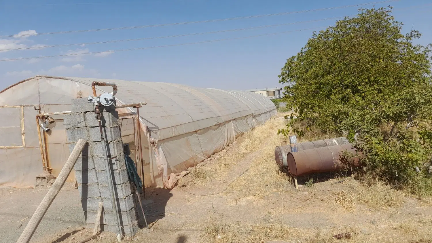 گلخانه مناسب اجاره