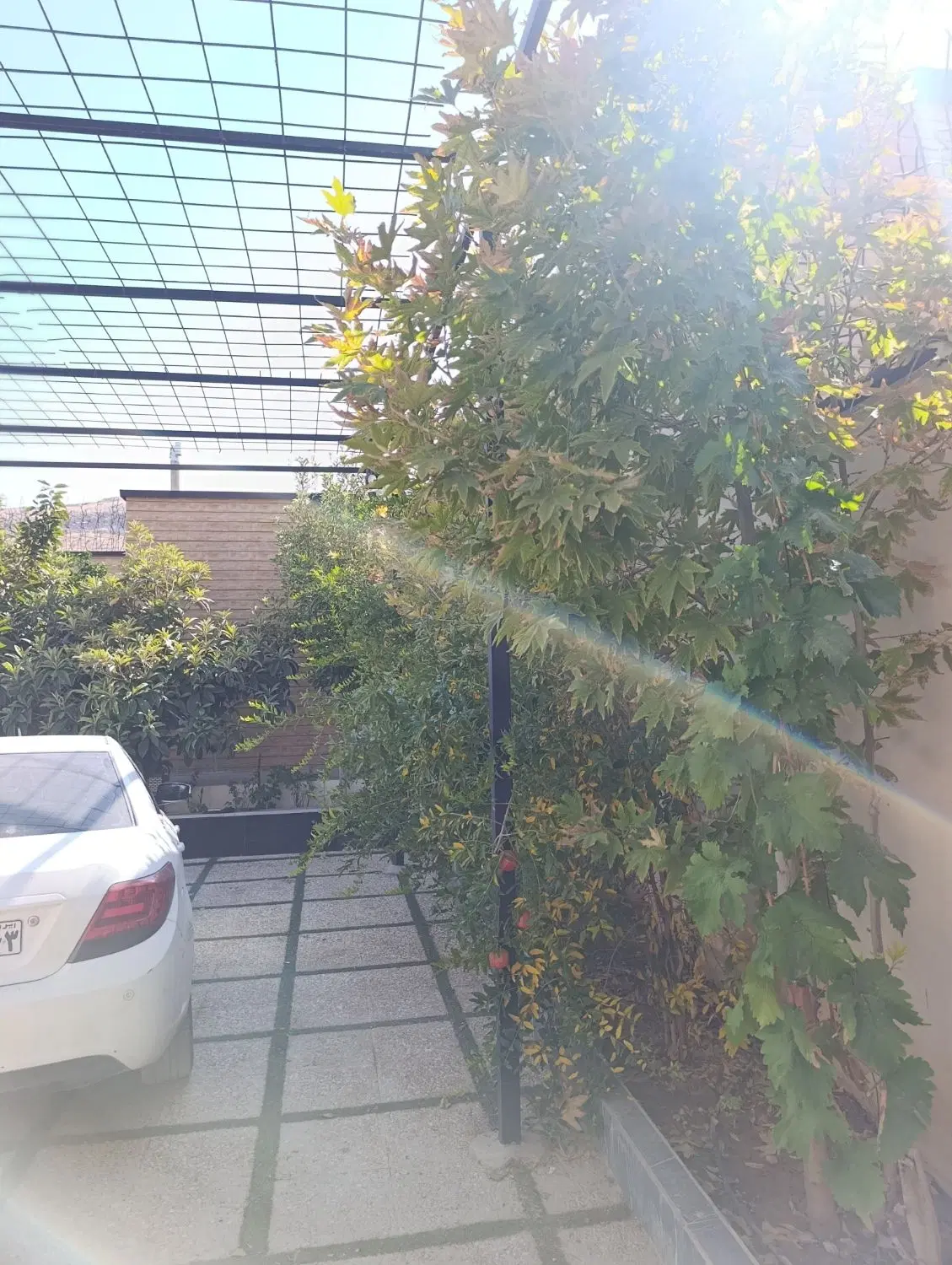فروش باغ لاکچری در خالدآباد