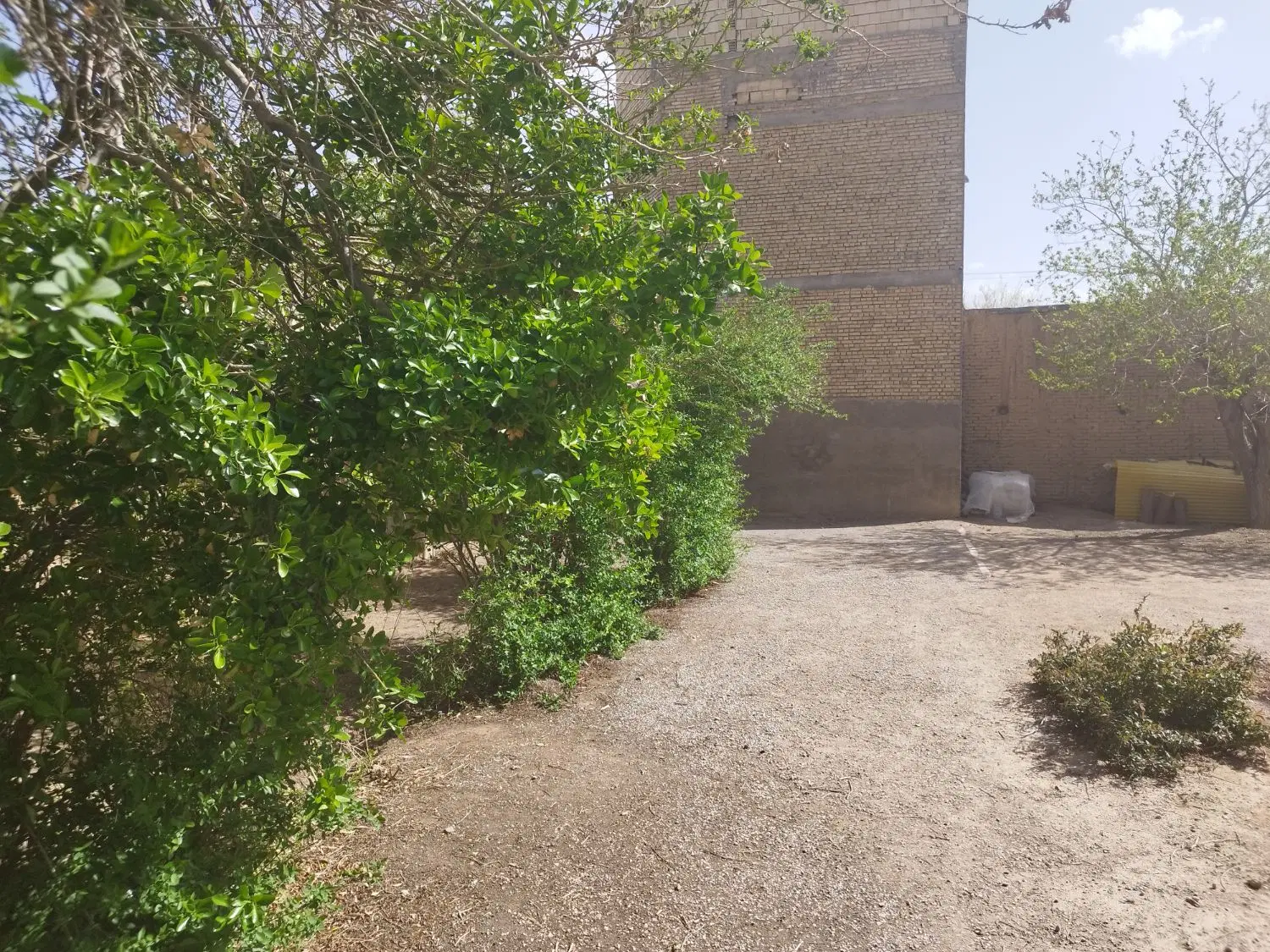 زمین