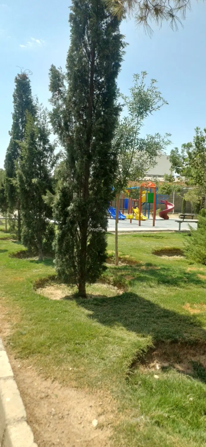 زمین  ارغوانیه بلوار دانشگاه
