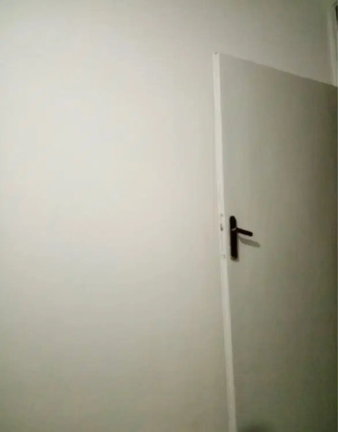 همخانه