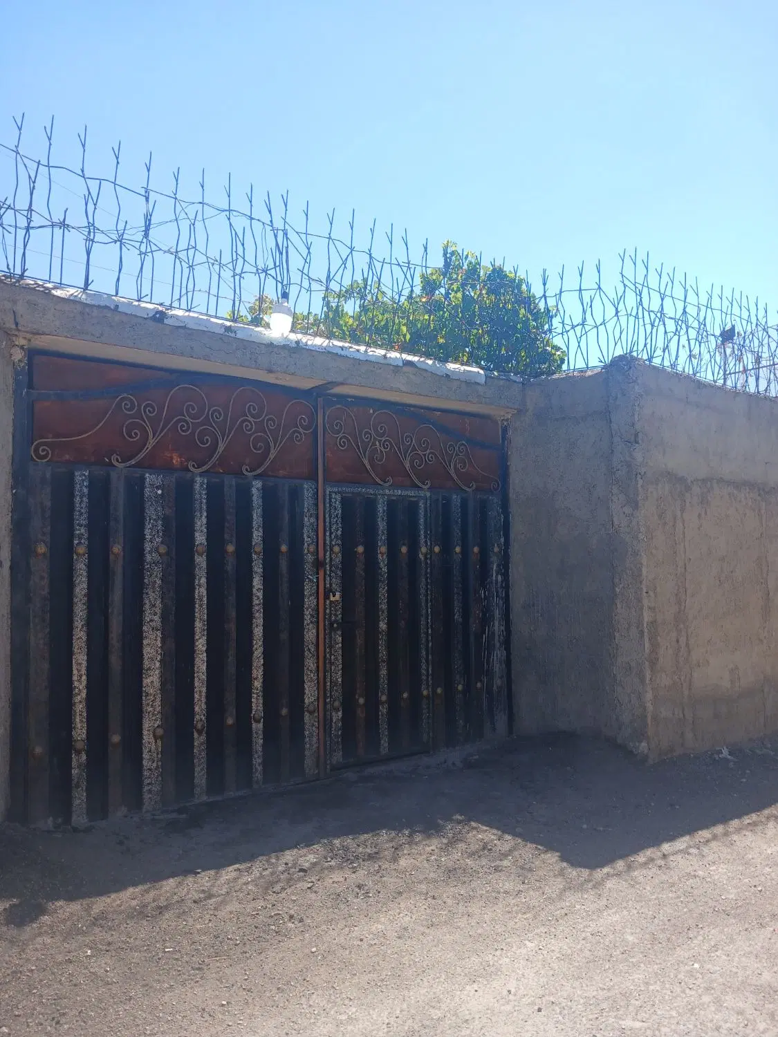 سالن و محوطه