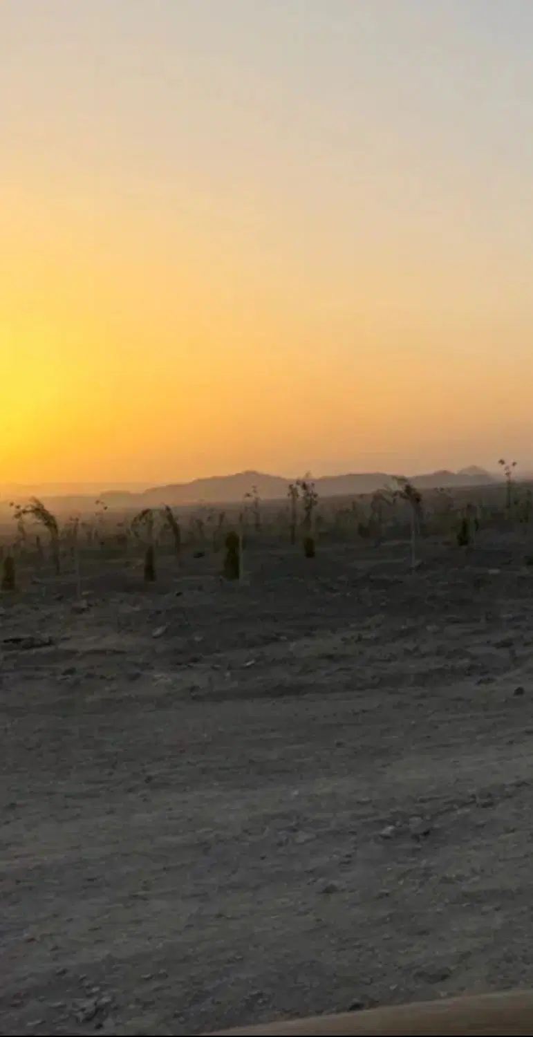 زمین لخشک بلوک c.