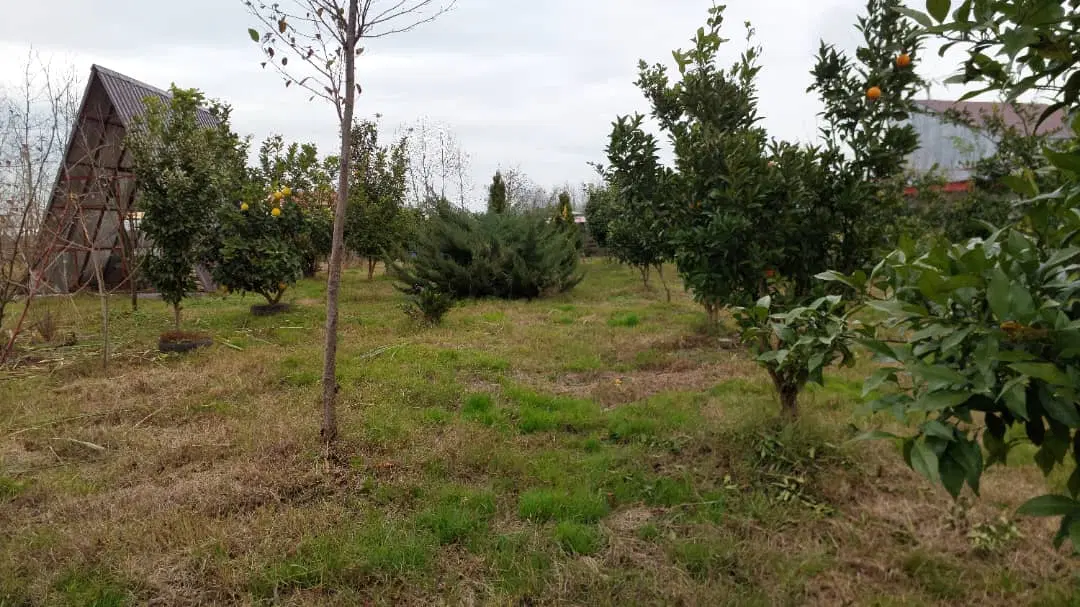 فروش زمین باشرایط اقساط لب ساحل