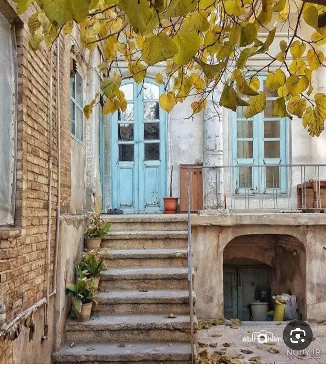 هم خونه