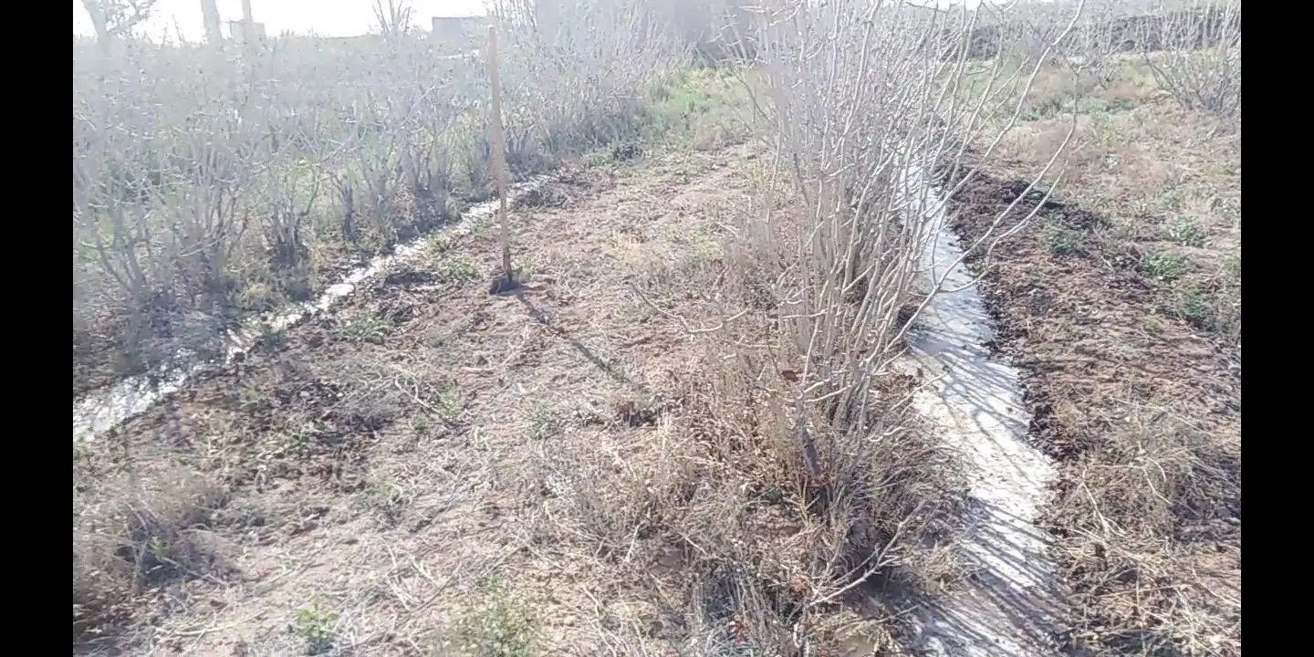 زمین کشاورزی