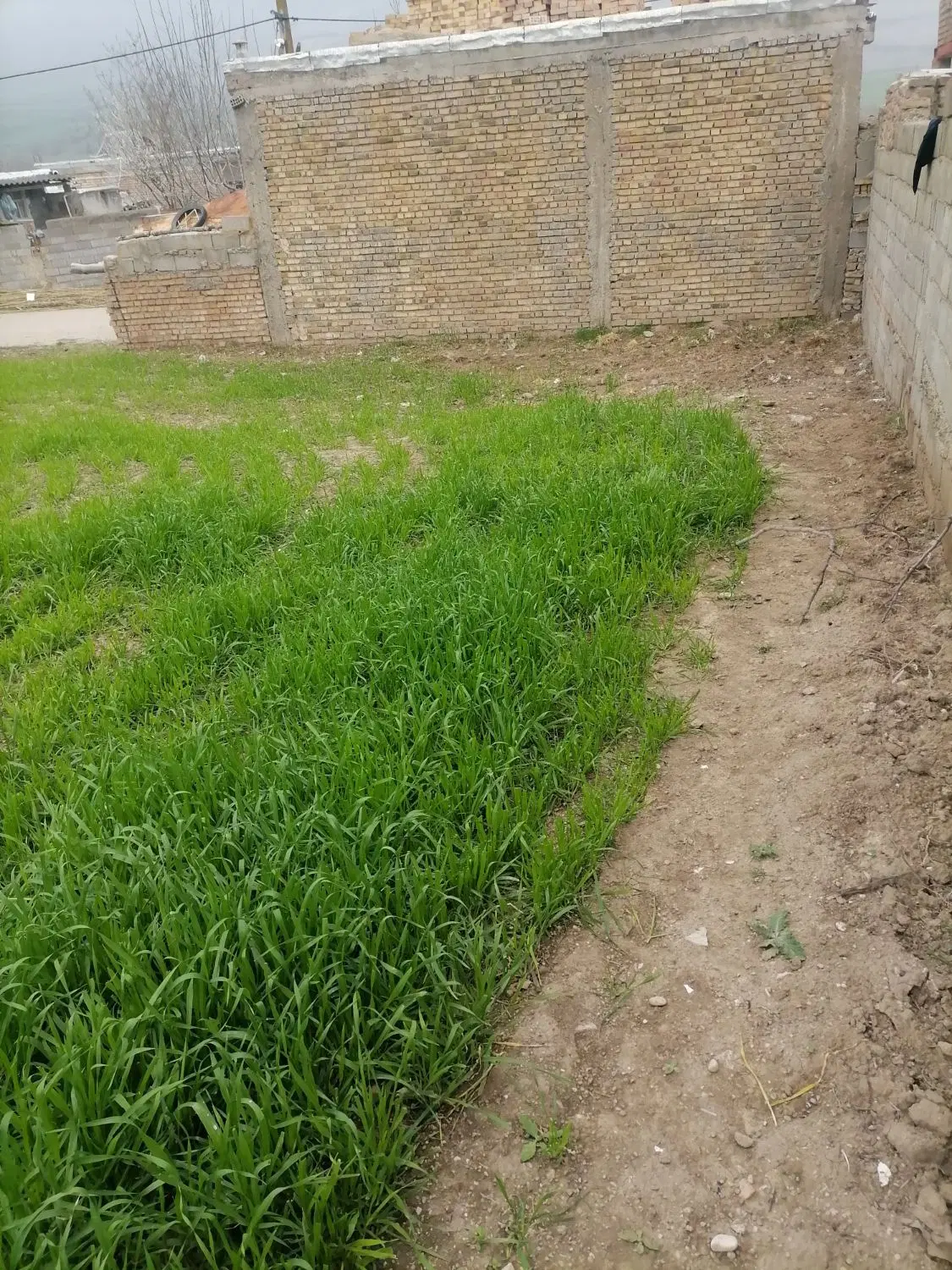 ۵۰۰متر زمین فروش ومعاوضه باخودرو