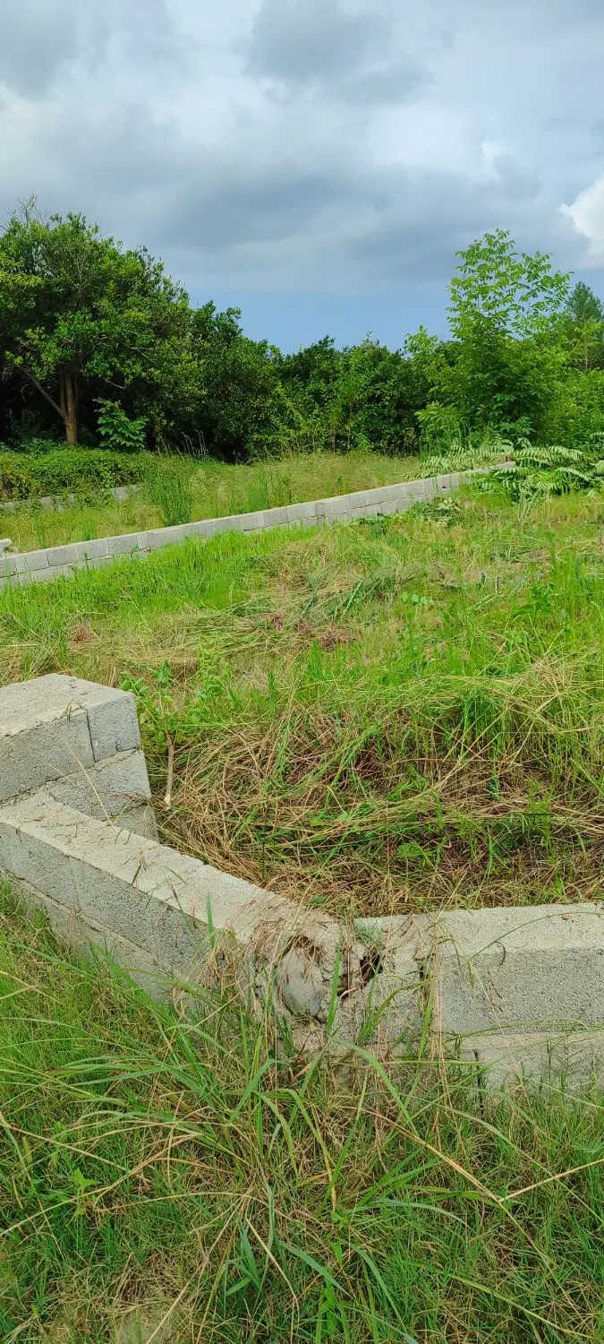 فروش زمین
