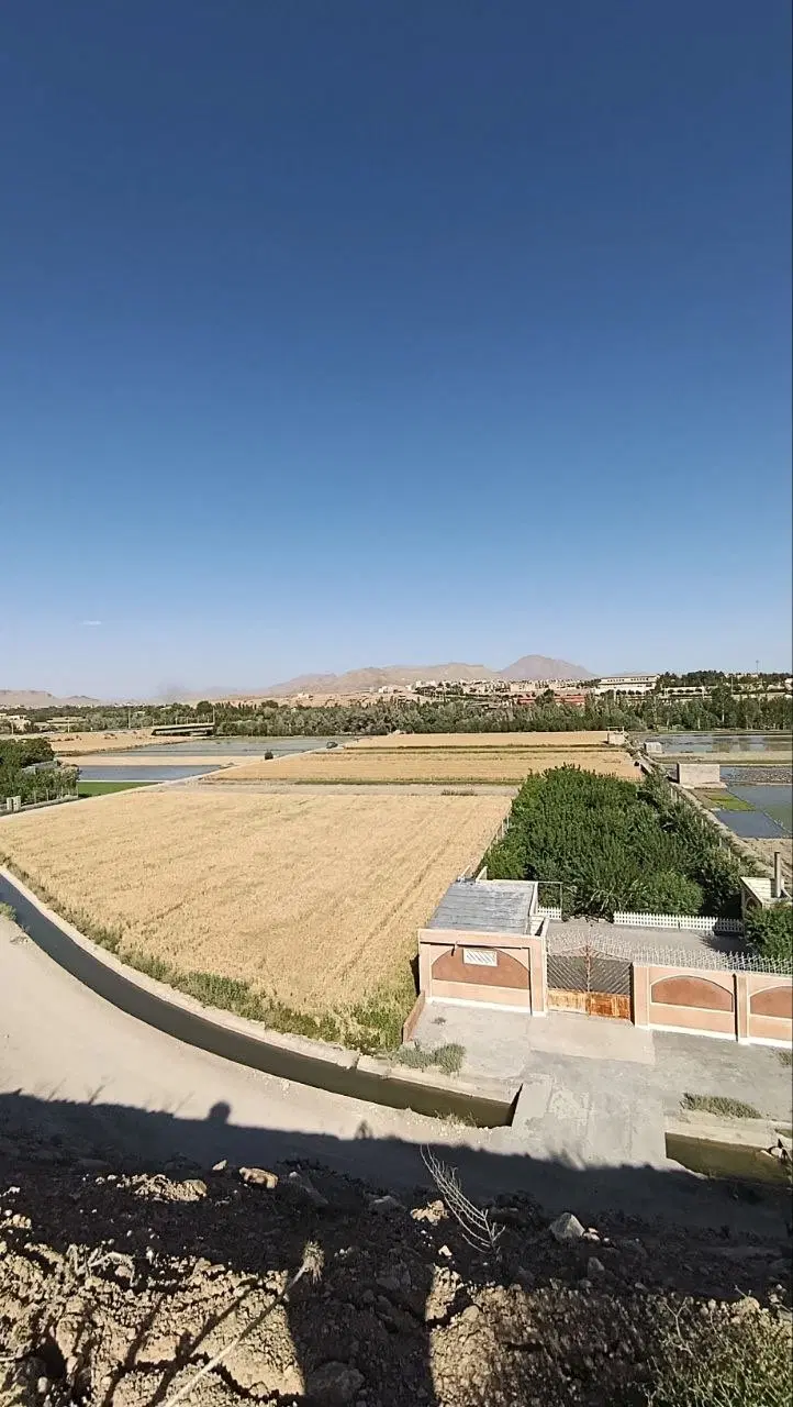 زمین کشاورزی باغی بداغ آباد