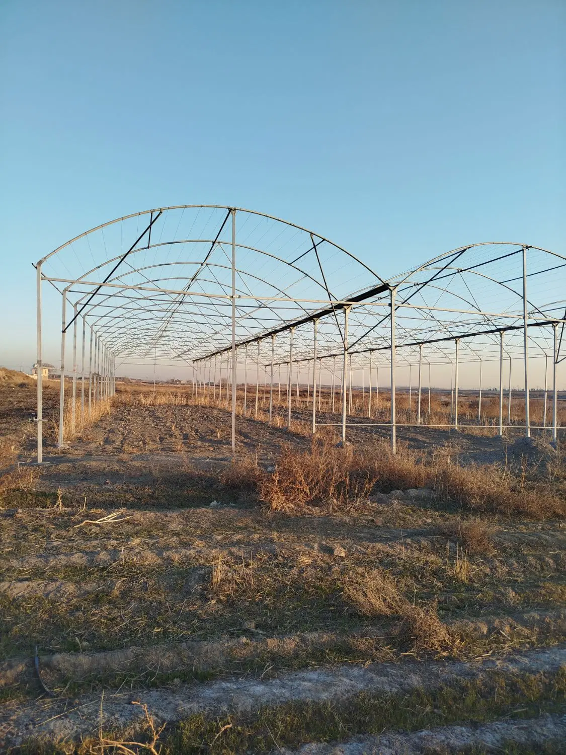 سازه گلخانه