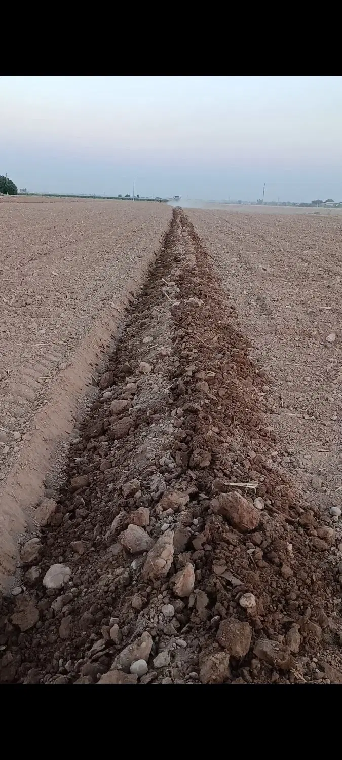 سه هکتار زمین جهت اجاره