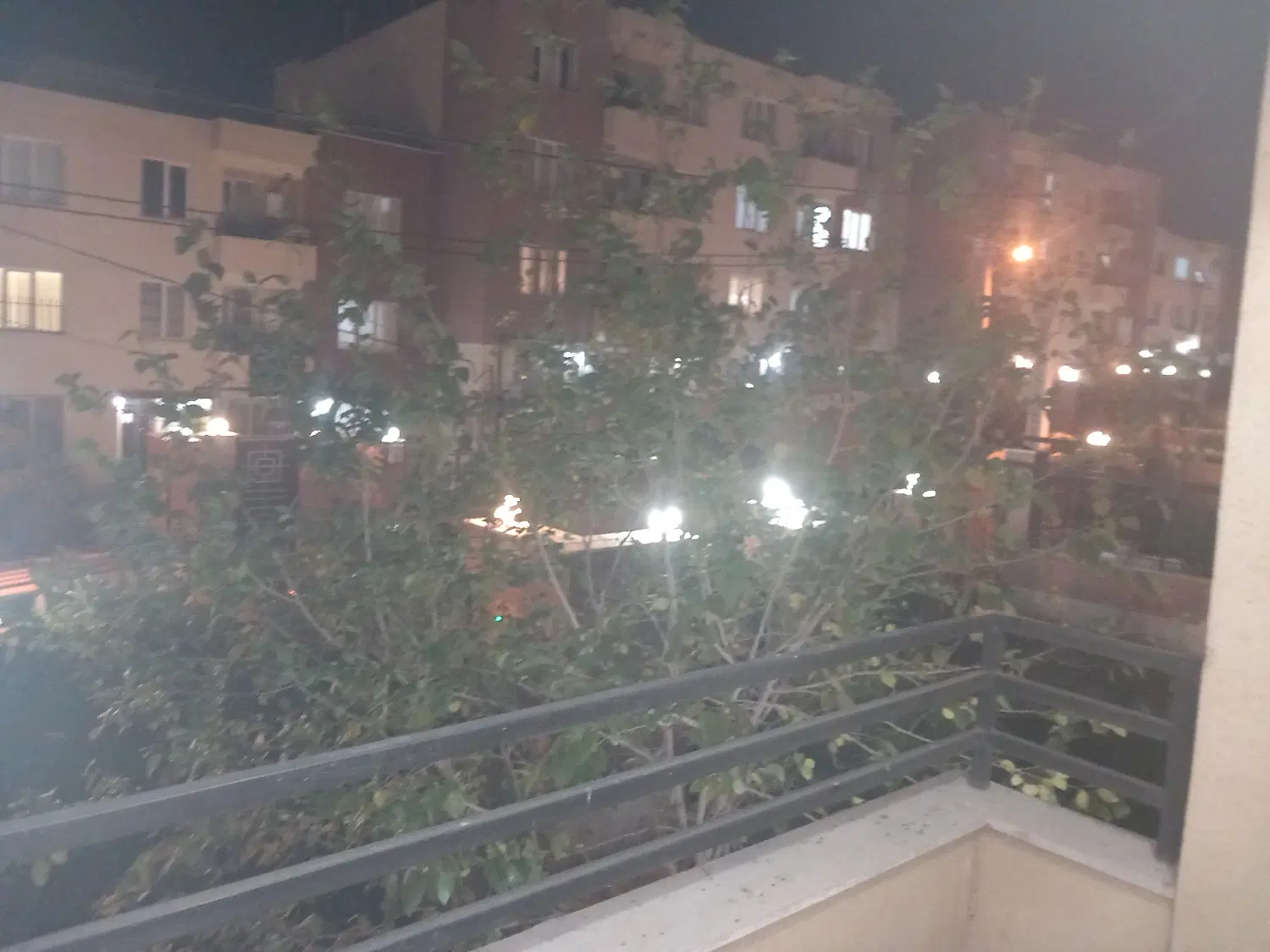 همخونه