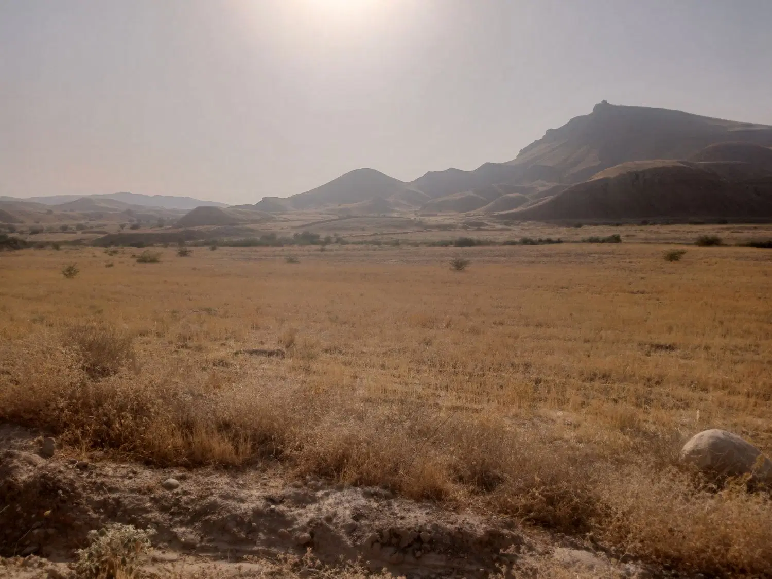 زمین کشاورزی