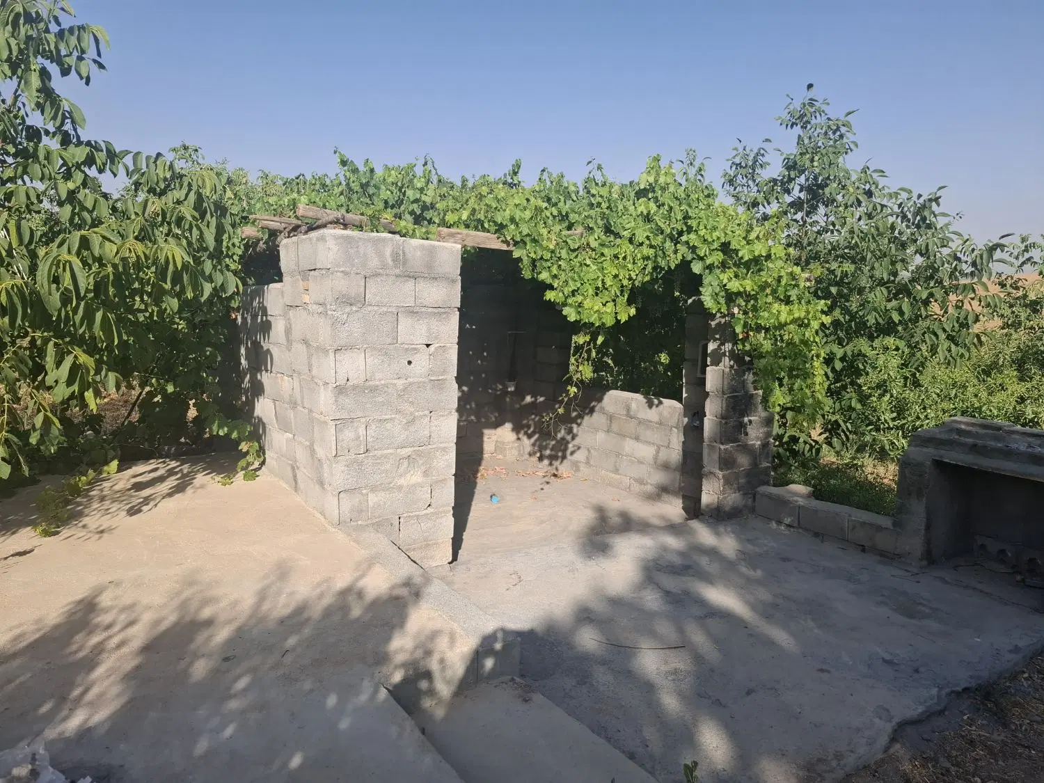 باغ مثمر بر جاده اصلی