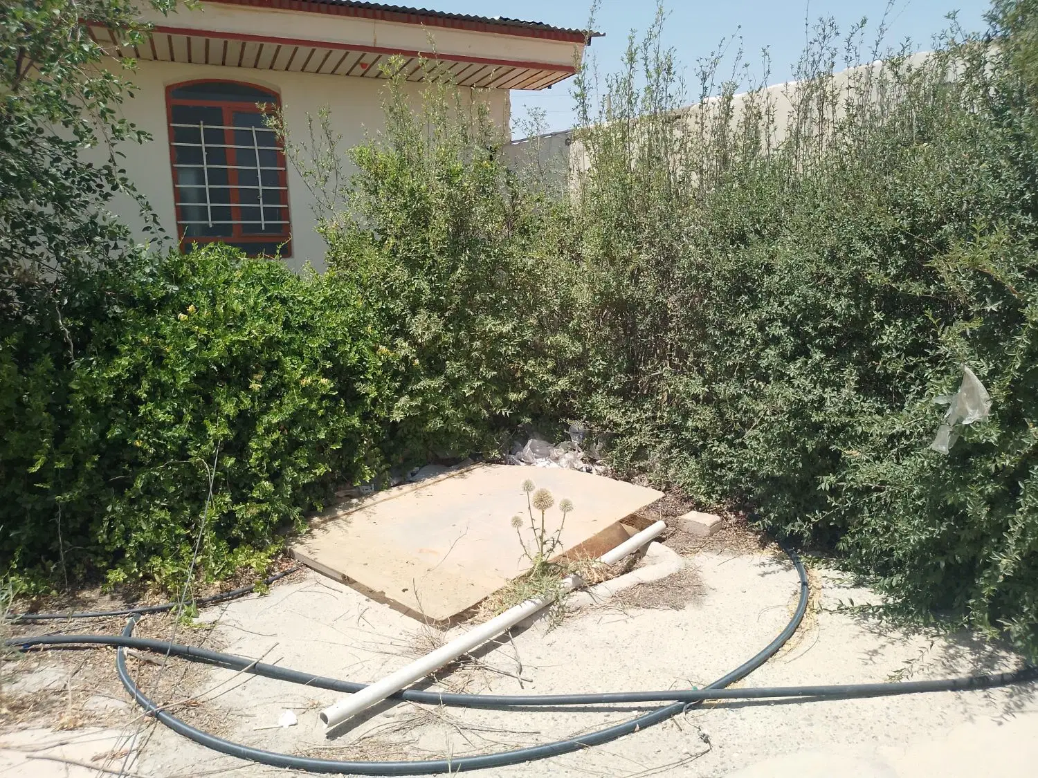 باغ ویلا