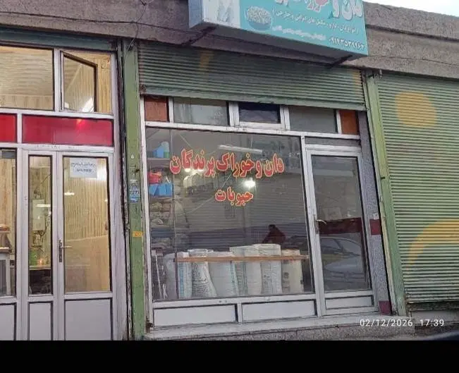 مغازه خیابان معادی (علی اباد)