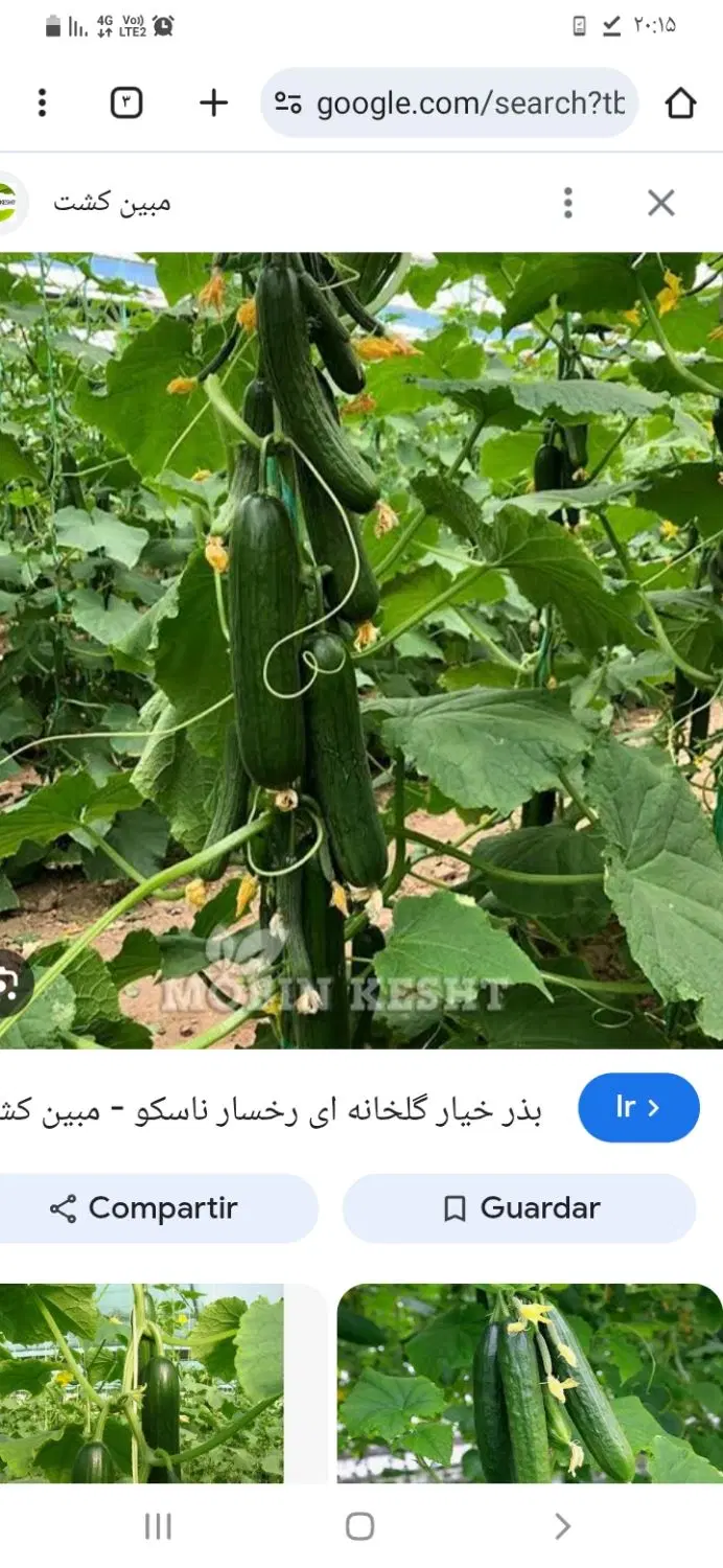 زمین گلخانه