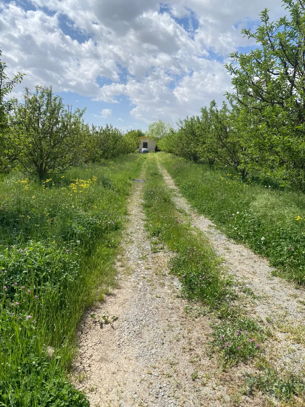 امتیاز زمین‌های دادگستری (زندان) اخر طریقت