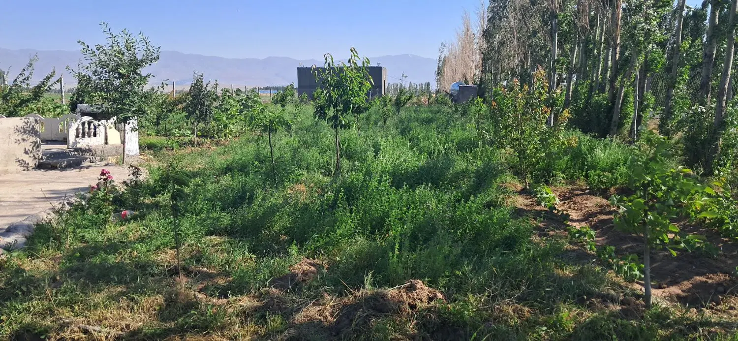 خانه باغ