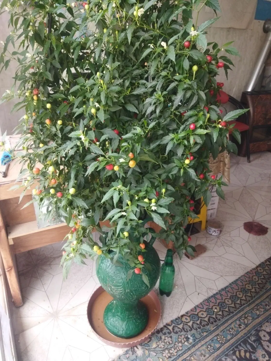 واگذاری اجاره ای محل کسب در خیابان شیخ جبراییل