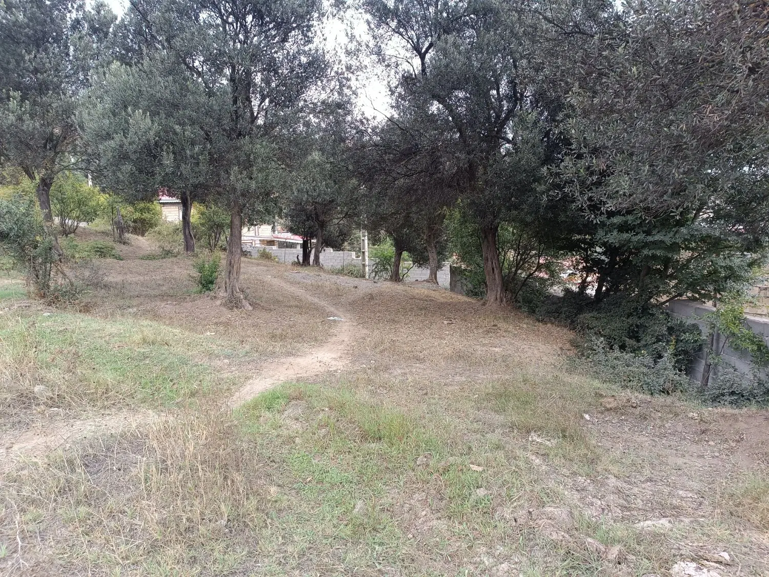 فروش زمین(ویودار)