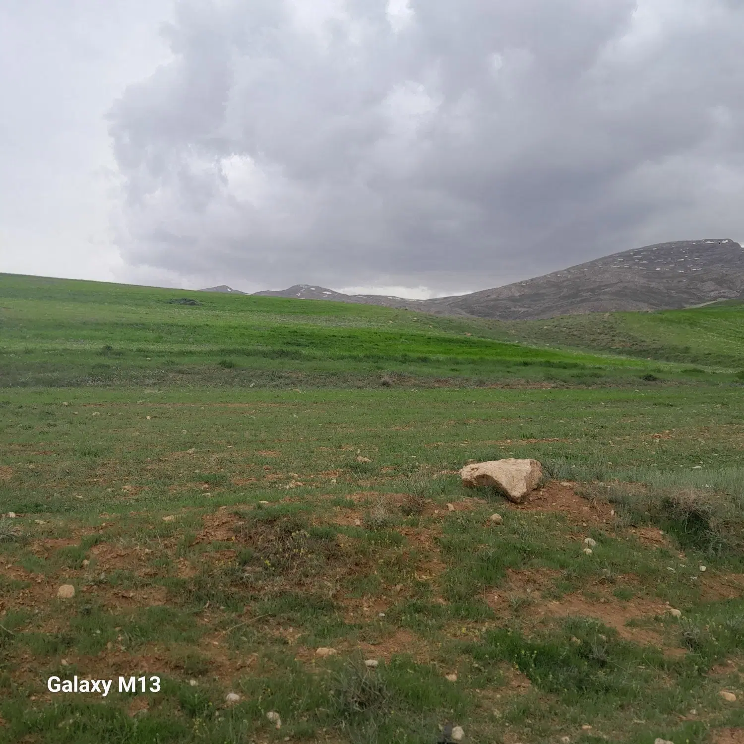 زمین بادام انگور  قنوات نجف آباد