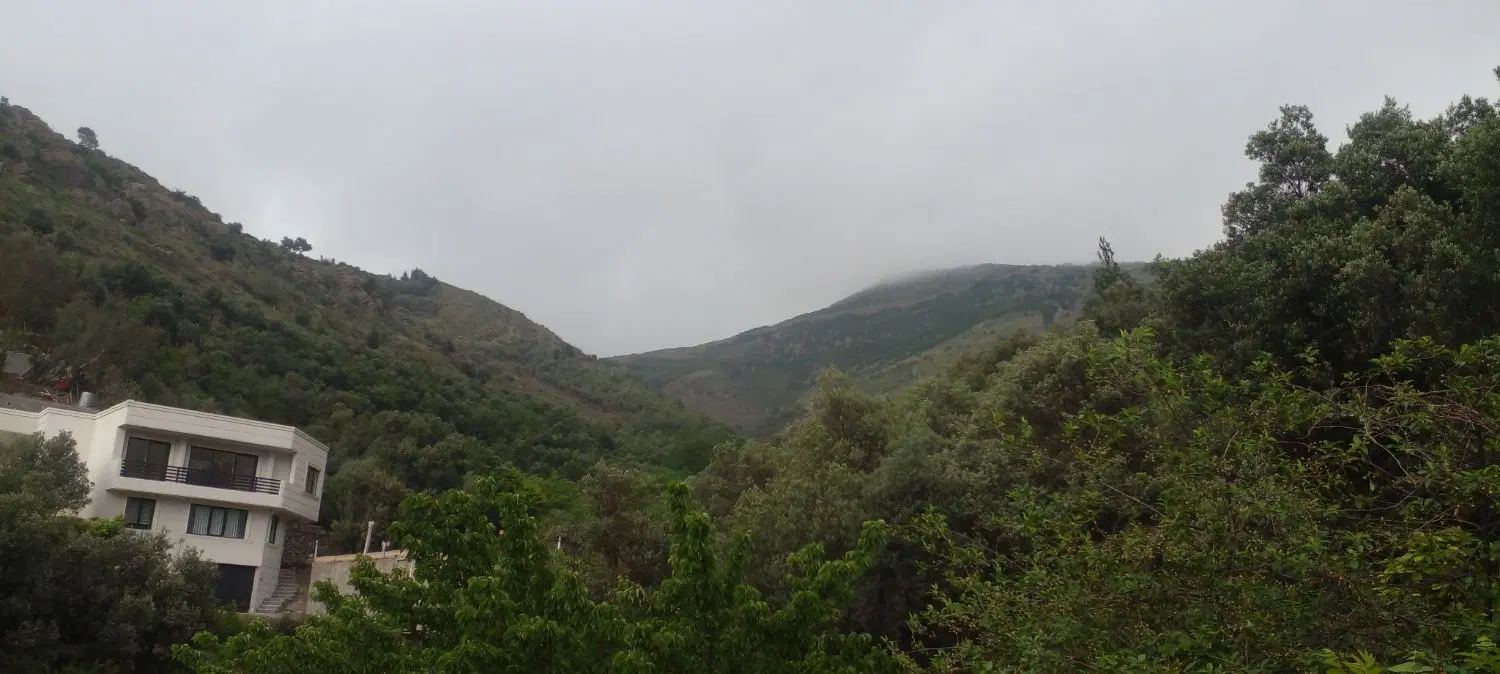 رهن و اجاره