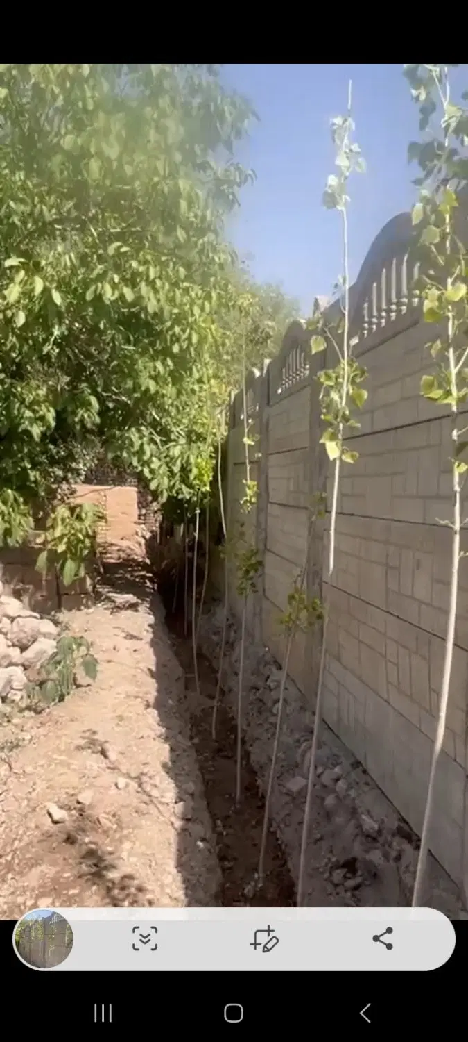 باغ فروشی ده بالا