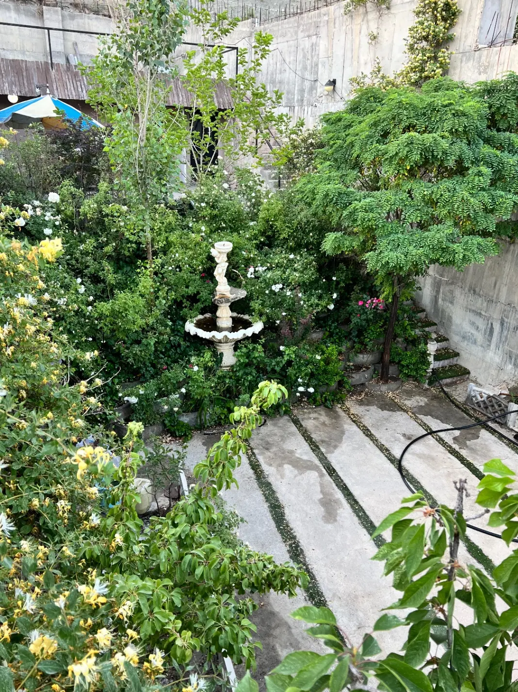 باغچه نقلی زیبا لواسان کوچک
